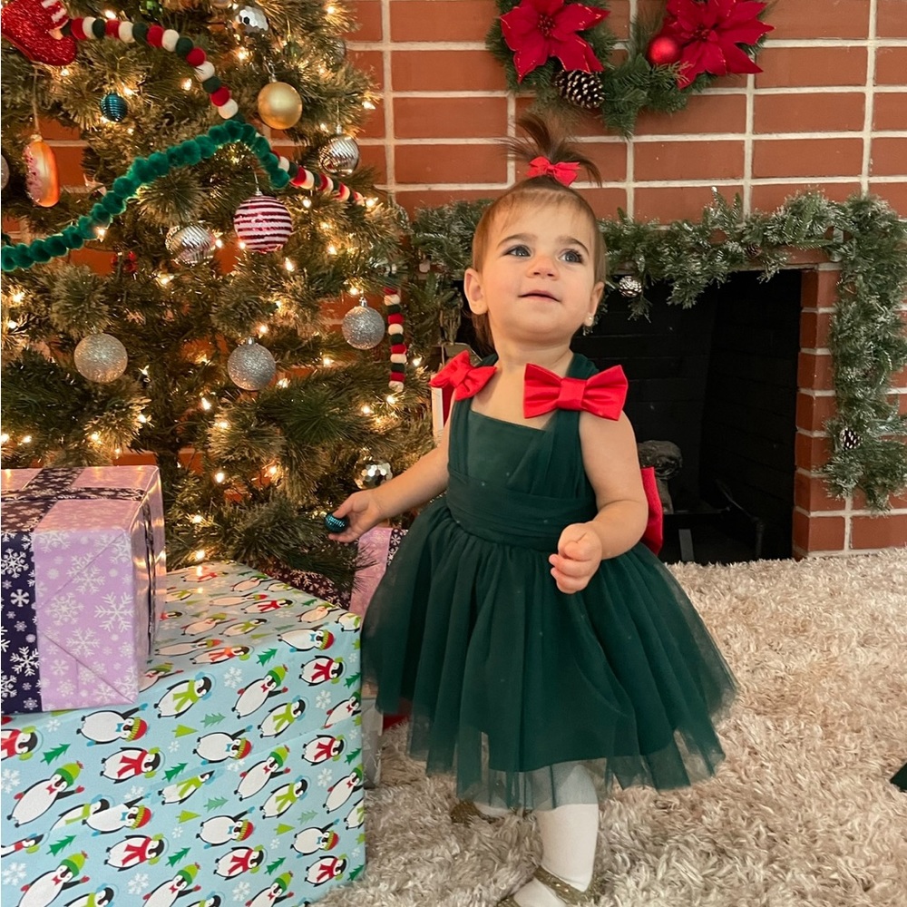 Holiday Baby Dress - Picture 2 of 4
